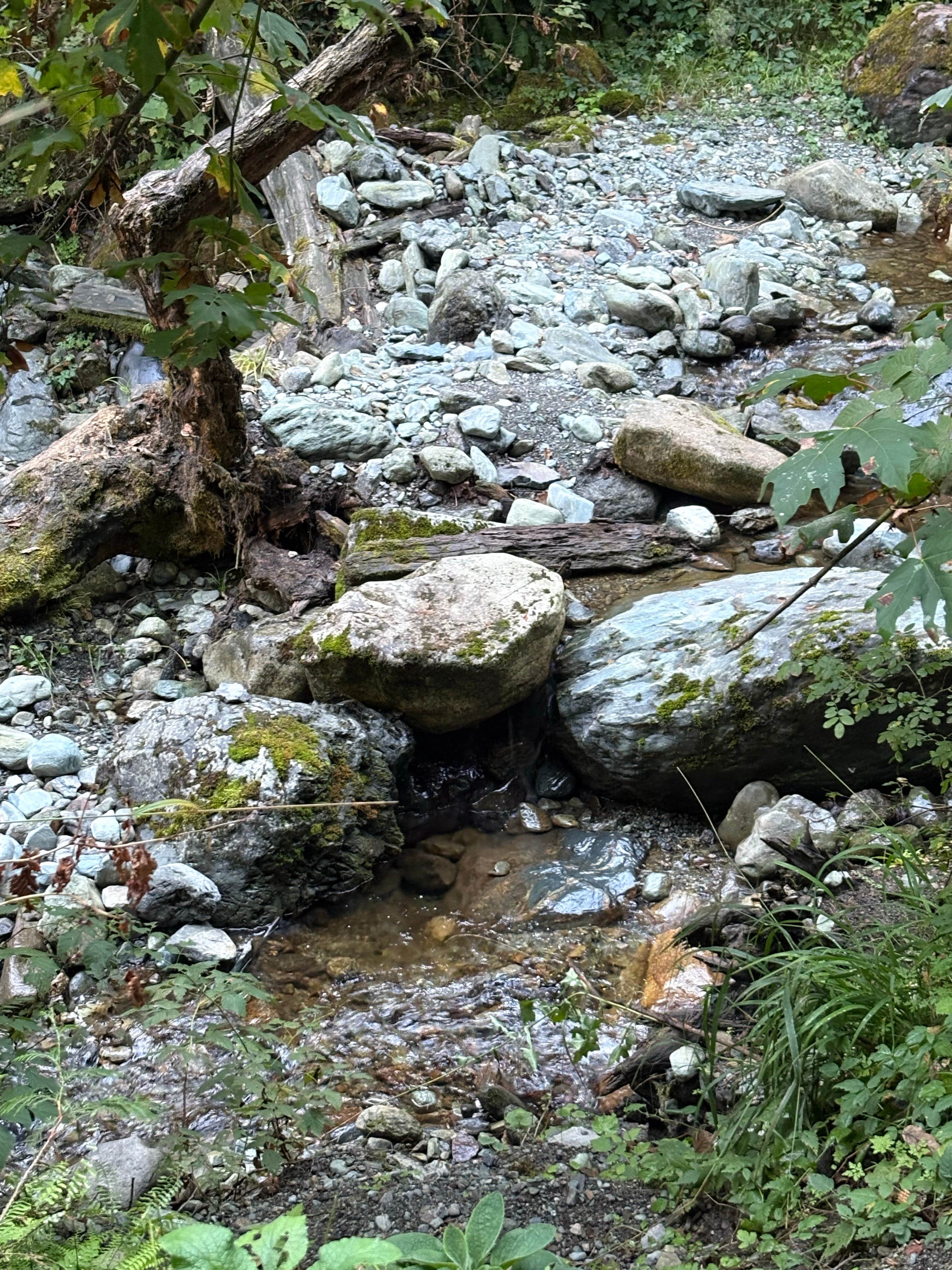 Camper-submitted photo at Baker Lake Tent camping near Lynden, WA
