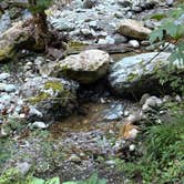 Review photo of Baker Lake Tent camping by Sarah S., October 3, 2025