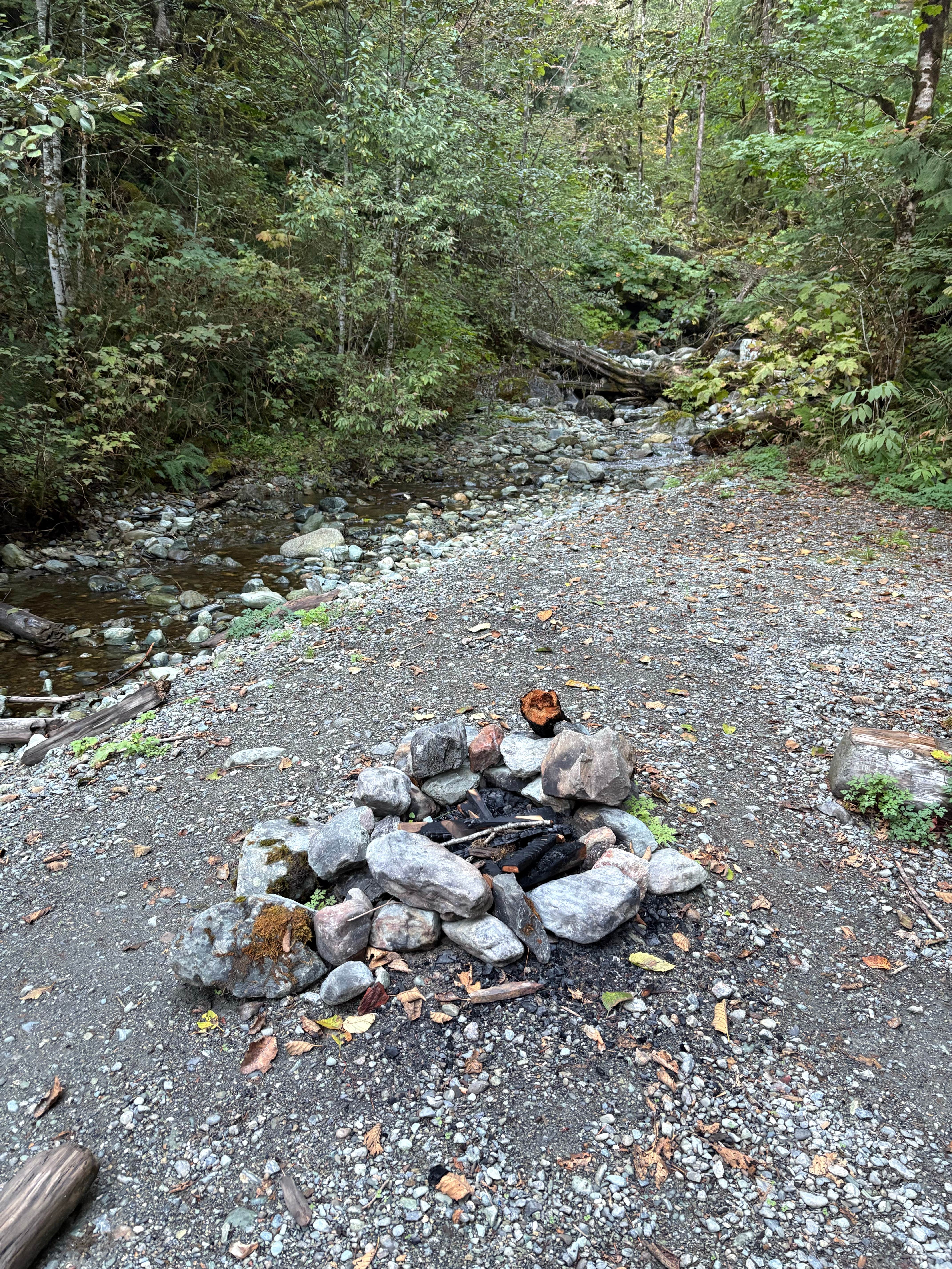 Camper-submitted photo at Baker Lake Tent camping near Lynden, WA