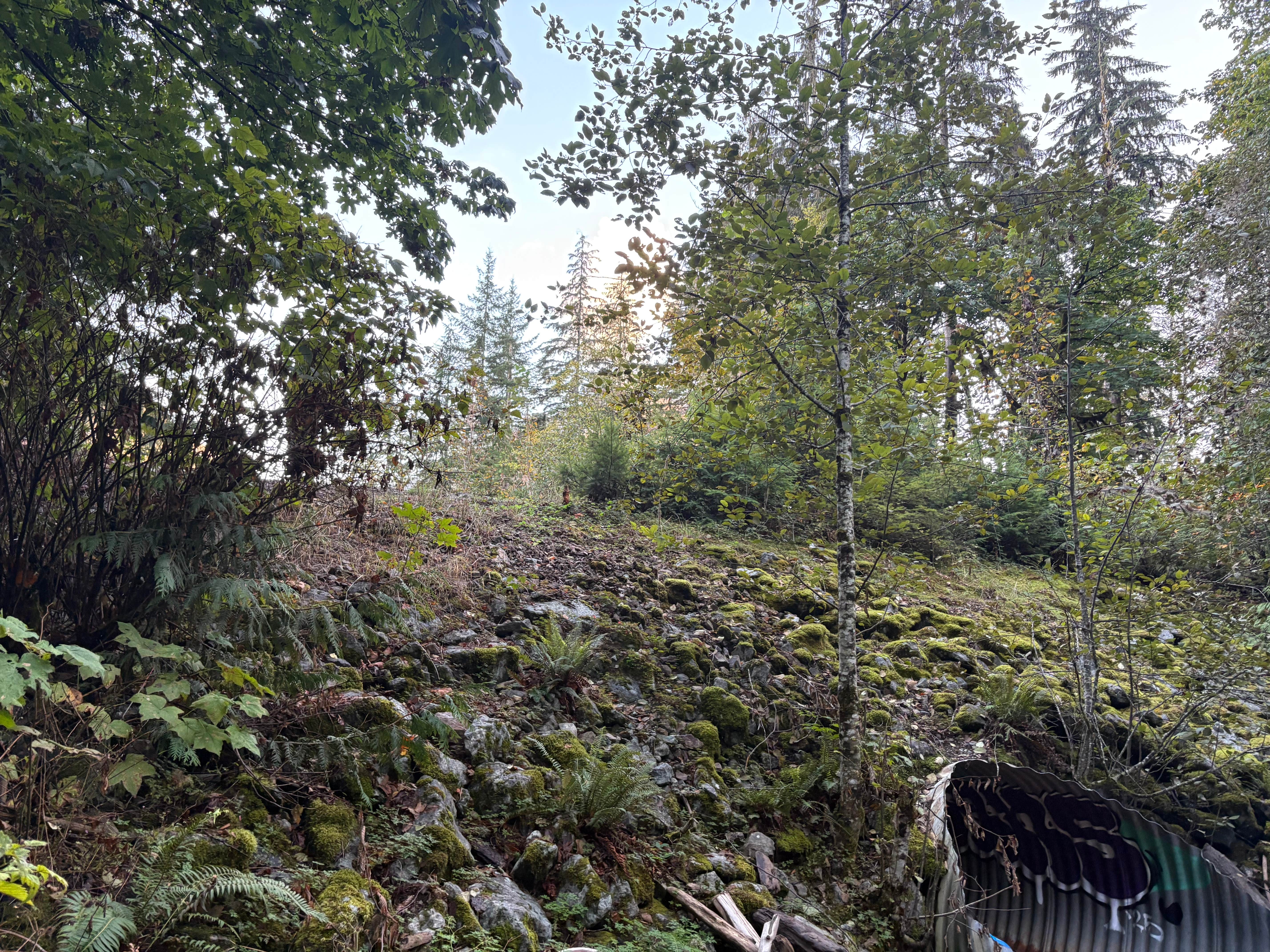 Camper submitted image from Baker Lake Tent camping - 1