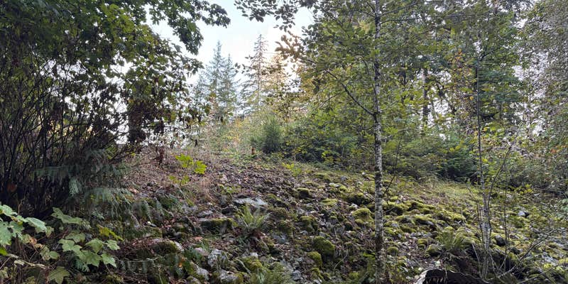 Camper submitted image from Baker Lake Tent camping