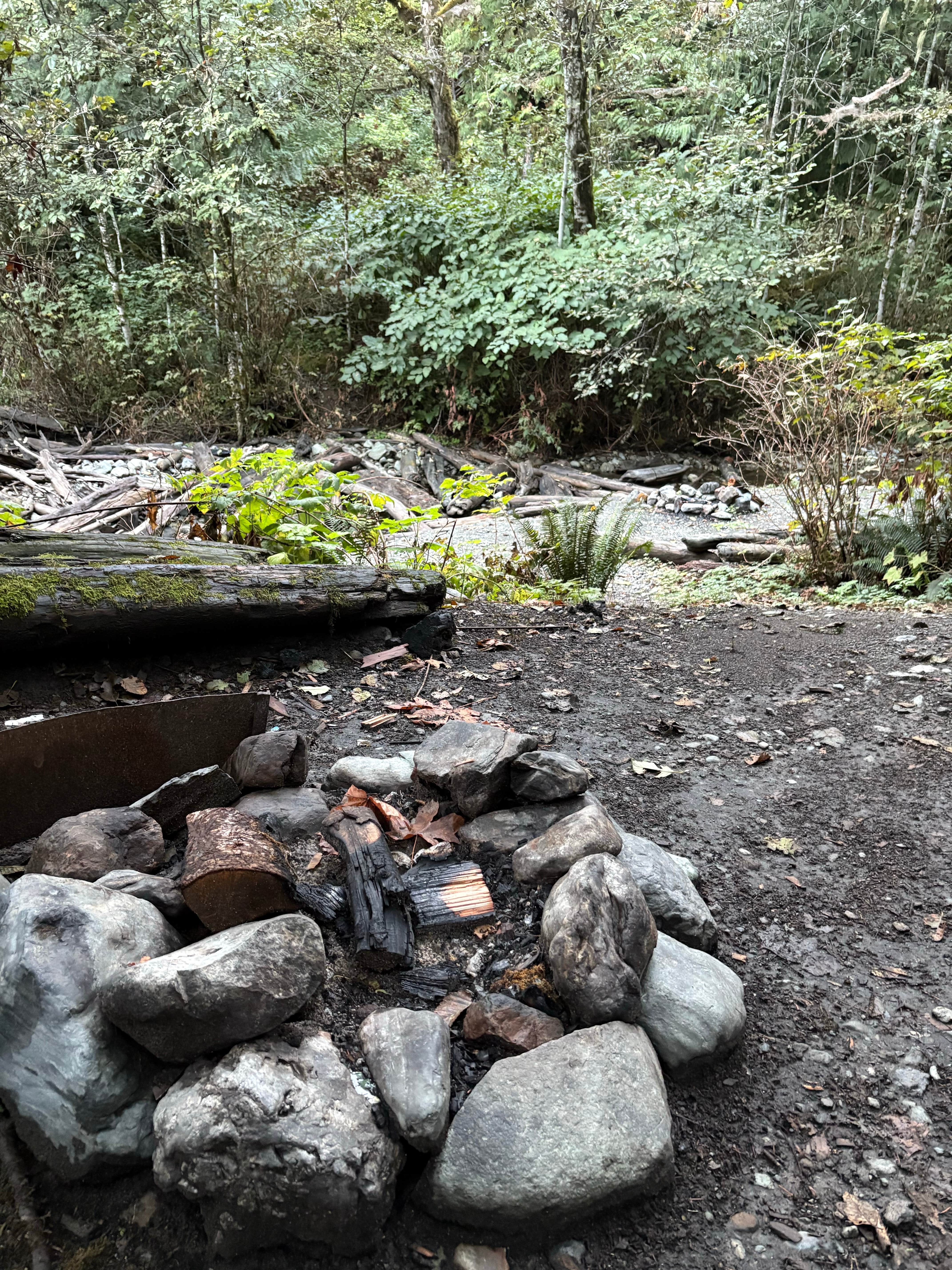 Camper-submitted photo at Baker Lake Tent camping near Lynden, WA