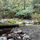 Review photo of Baker Lake Tent camping by Sarah S., October 3, 2025