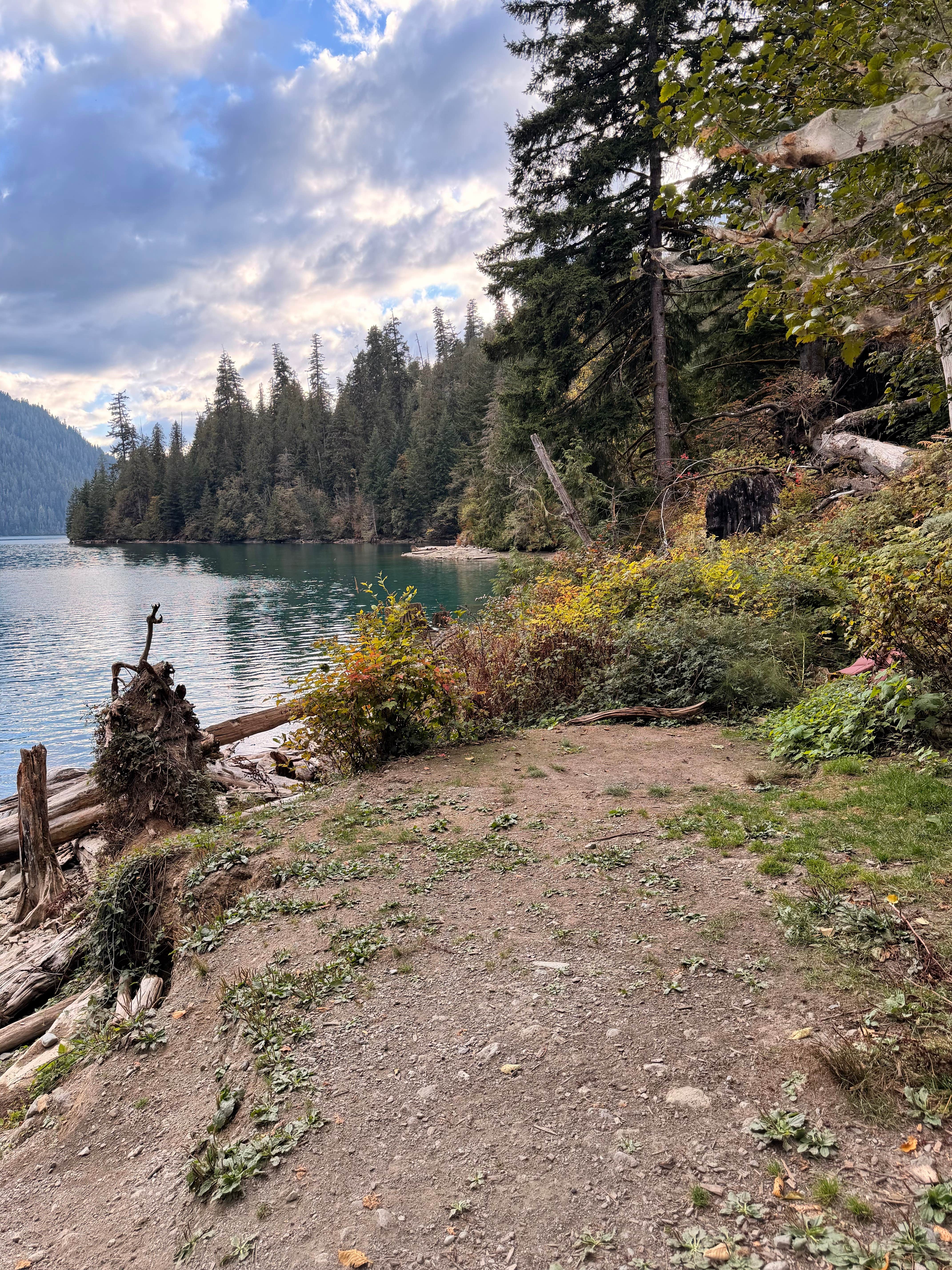 Camping near baker river trail head: Baker Pull-Off, Concrete, Washington