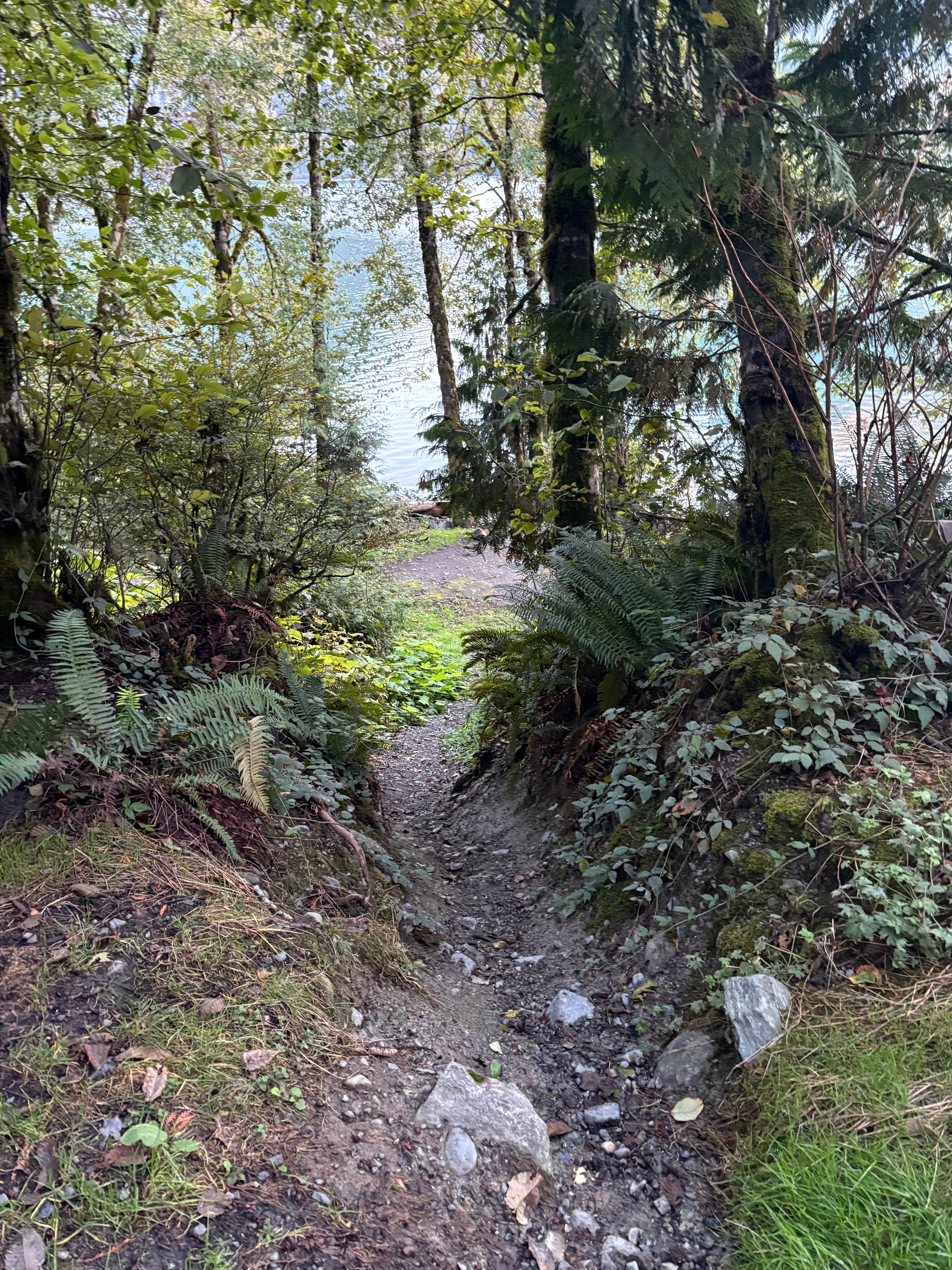 Camper-submitted photo at Baker Pull-Off near Lynden, WA