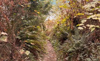 Amy W.'s photo of camping with pets at Baker Pull-Off near Concrete, WA