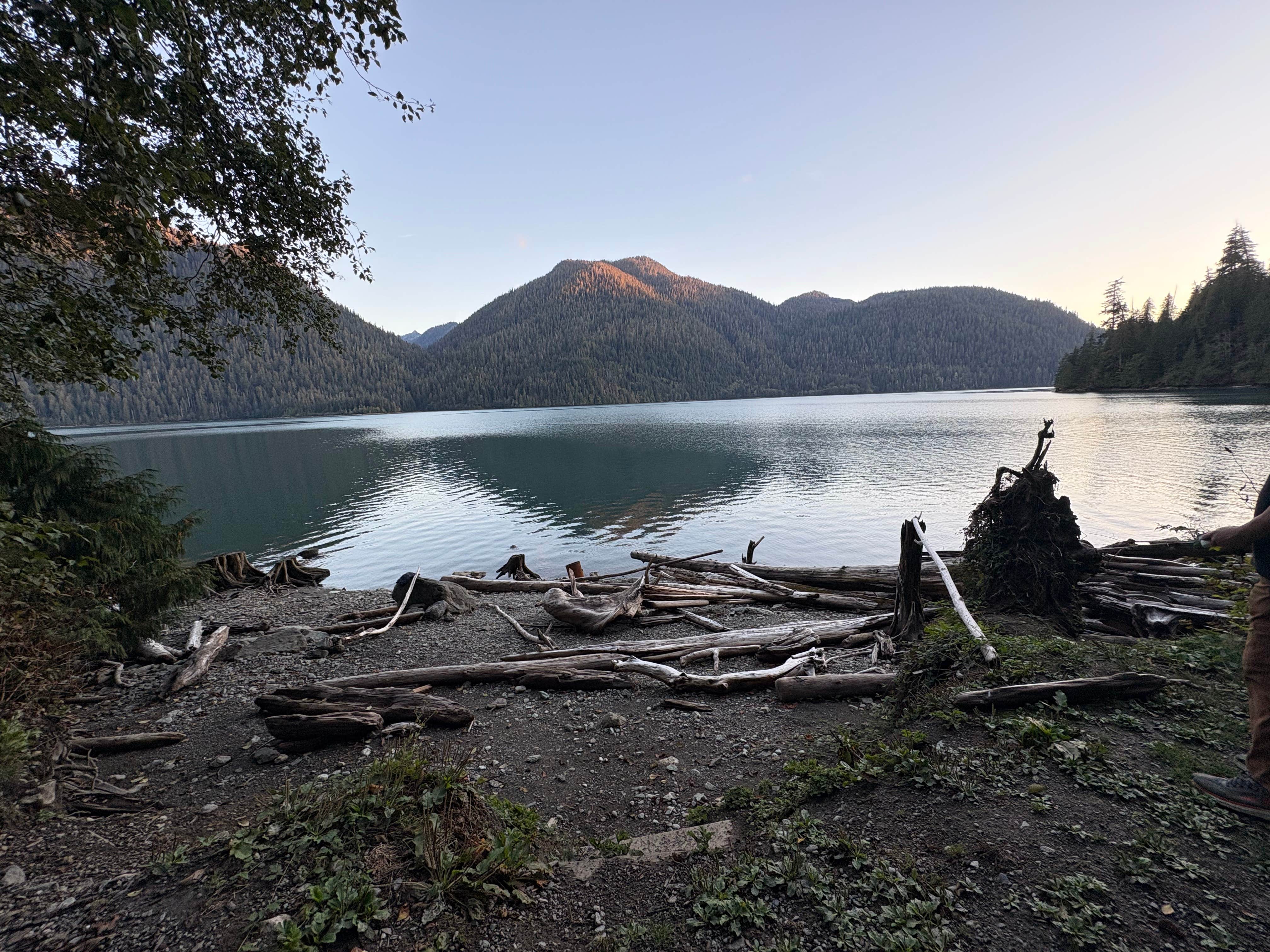 Sarah S.'s photo of a dispersed camping area at Baker Pull-Off near Lynden, WA