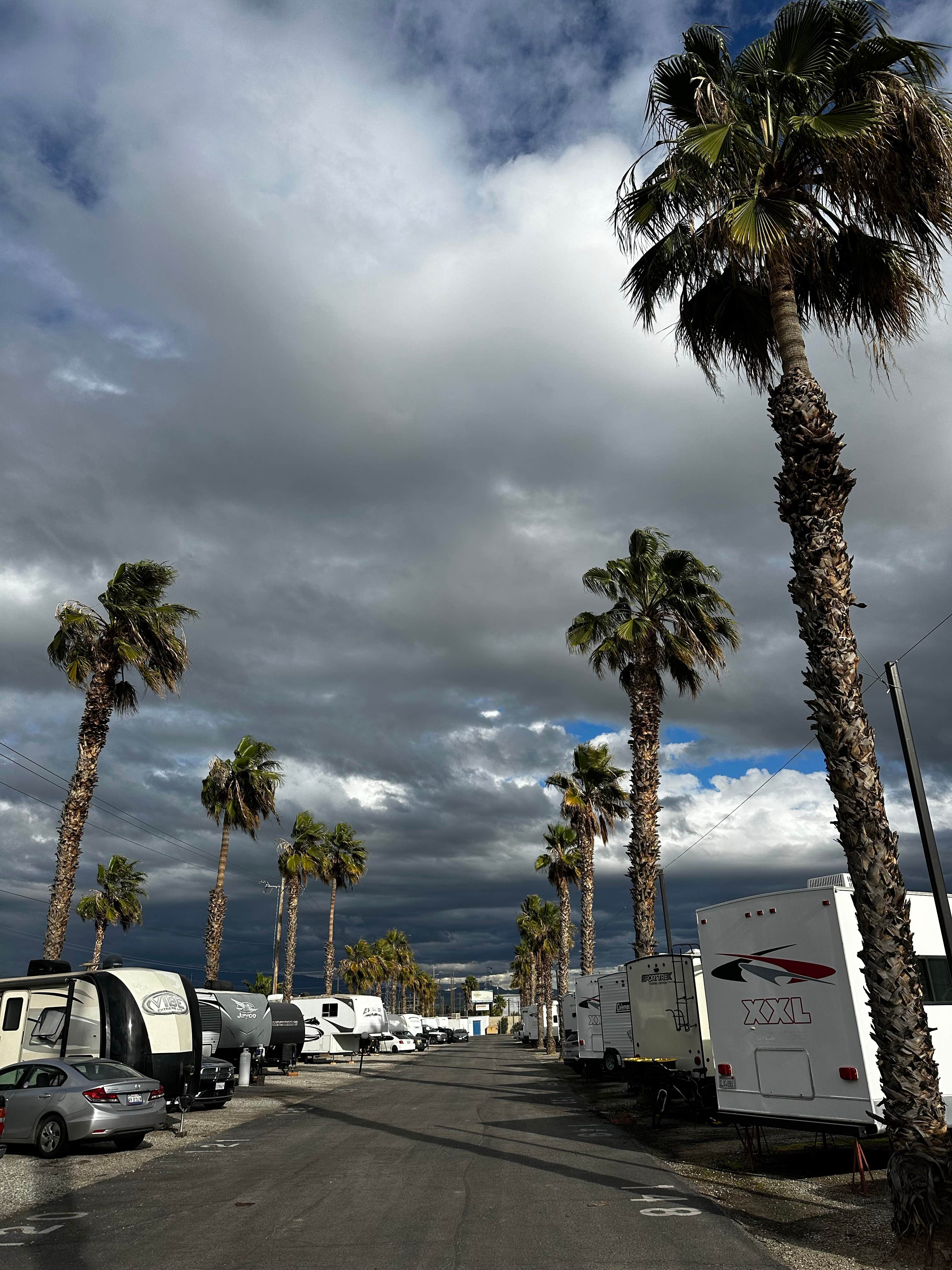 Camper submitted image from Shaded Haven RV Park - 4