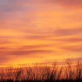 Review photo of Bald Eagle Creek by Susan W., February 13, 2026