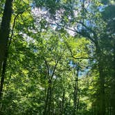 Review photo of Primitive Camping Area — Bald Eagle State Park by Erik C., July 2, 2026