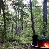 Review photo of Primitive Camping Area — Bald Eagle State Park by Erik C., July 2, 2026
