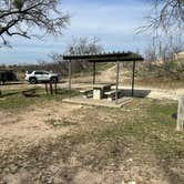 Review photo of Bald Eagle — San Angelo State Park by Donald B., March 9, 2026