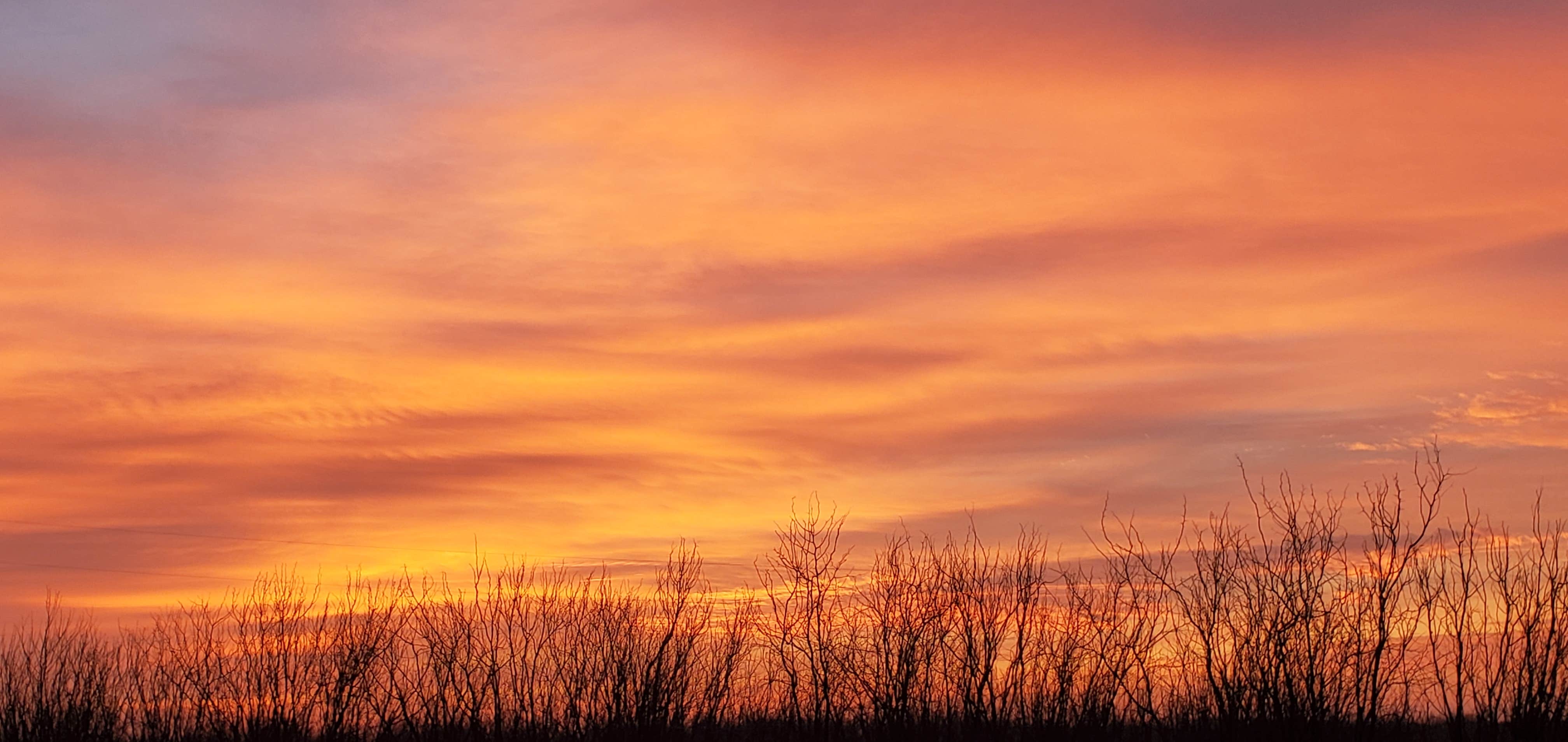 Camping near Goodfellow AFB Recreation Area: Bald Eagle — San Angelo State Park, San Angelo, Texas