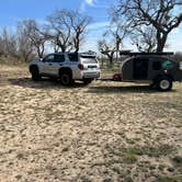 Review photo of Bald Eagle — San Angelo State Park by Donald B., March 9, 2026