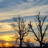Review photo of Bald Eagle — San Angelo State Park by Susan W., February 13, 2026