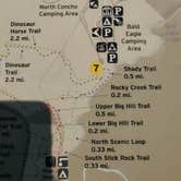 Review photo of Bald Eagle — San Angelo State Park by Susan W., February 13, 2026