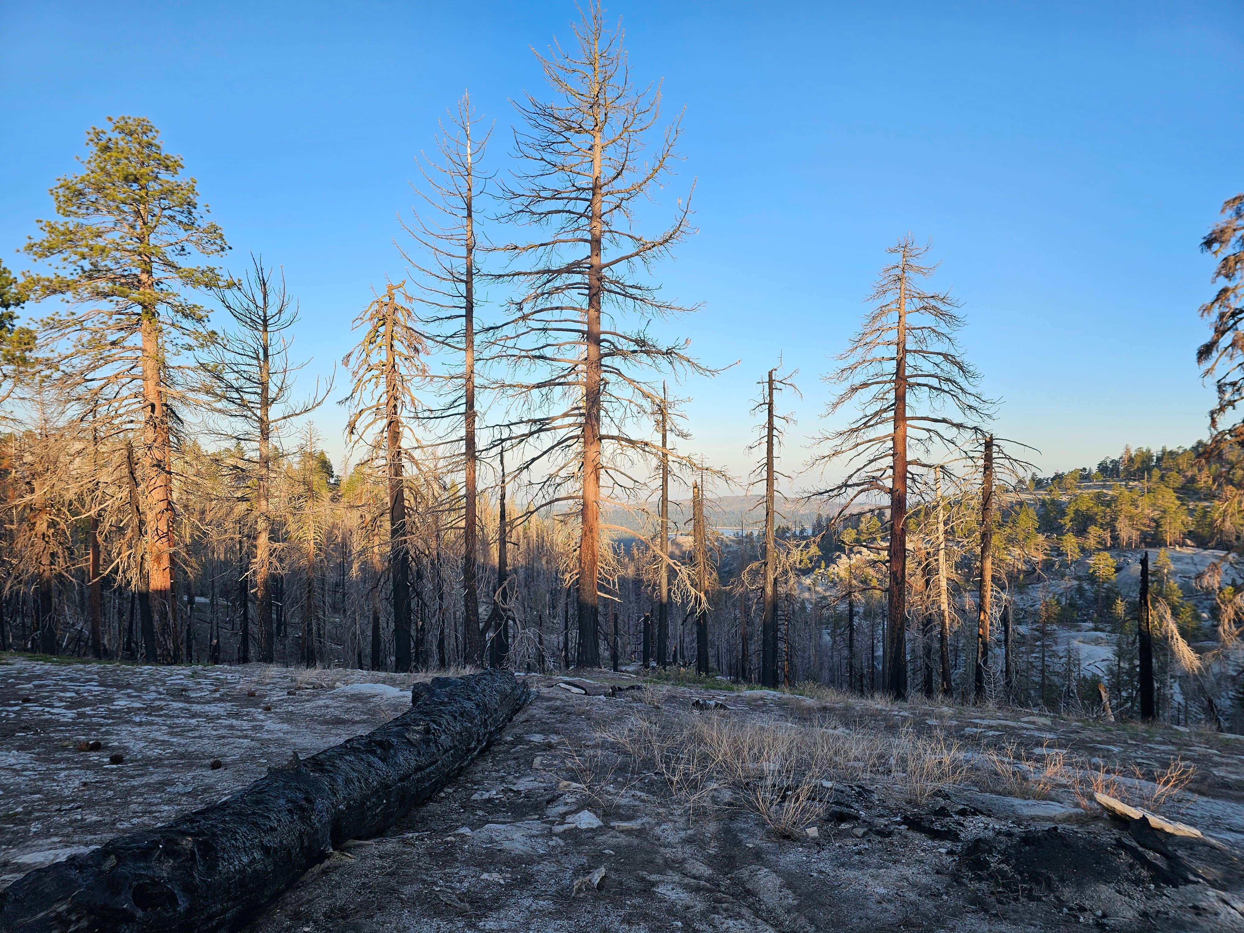 Camper submitted image from Bald Mountain Lookout - 1