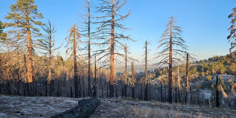 Camper submitted image from Bald Mountain Lookout