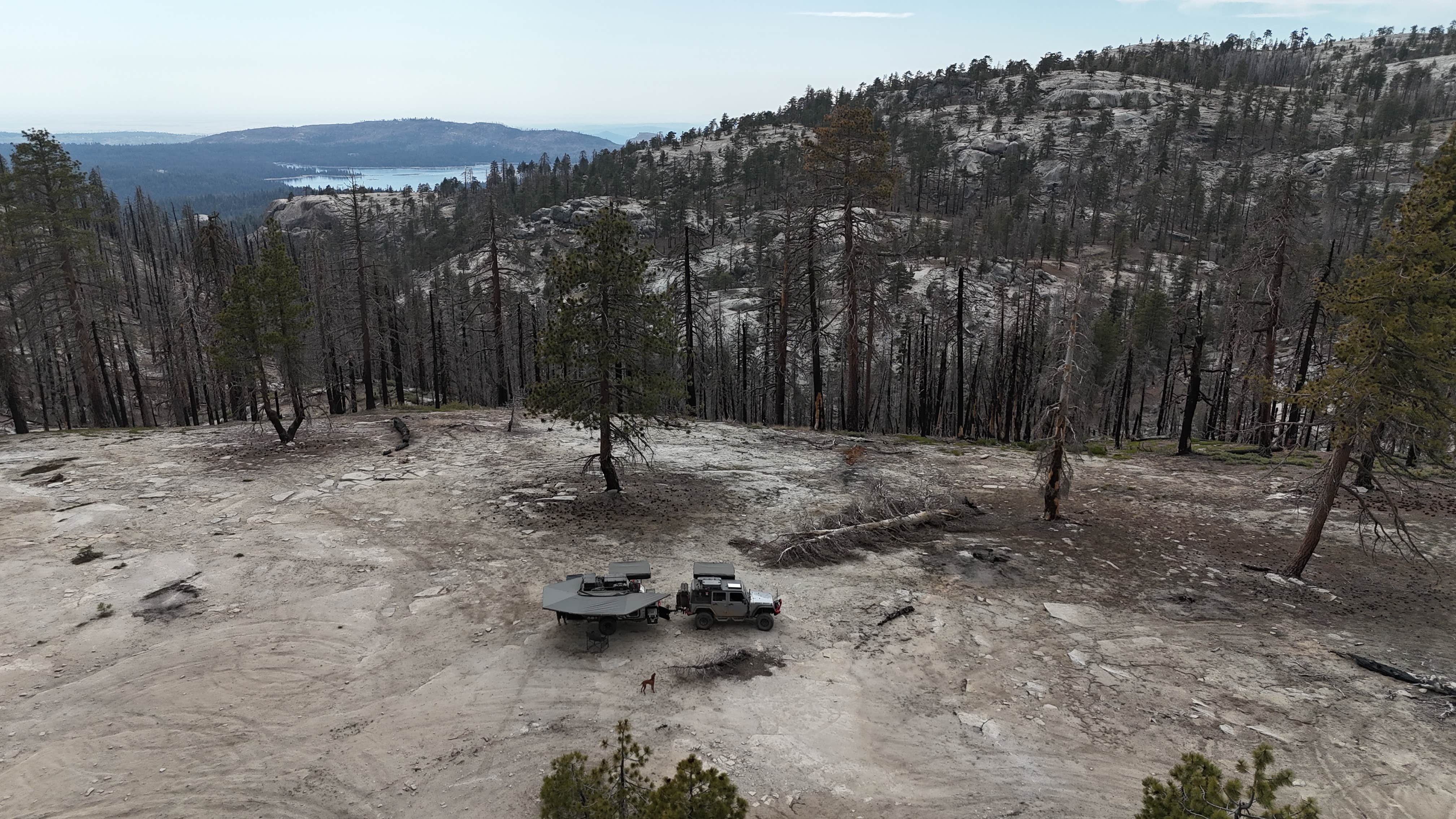 Camper-submitted photo at Bald Mountain Lookout near Wishon, CA
