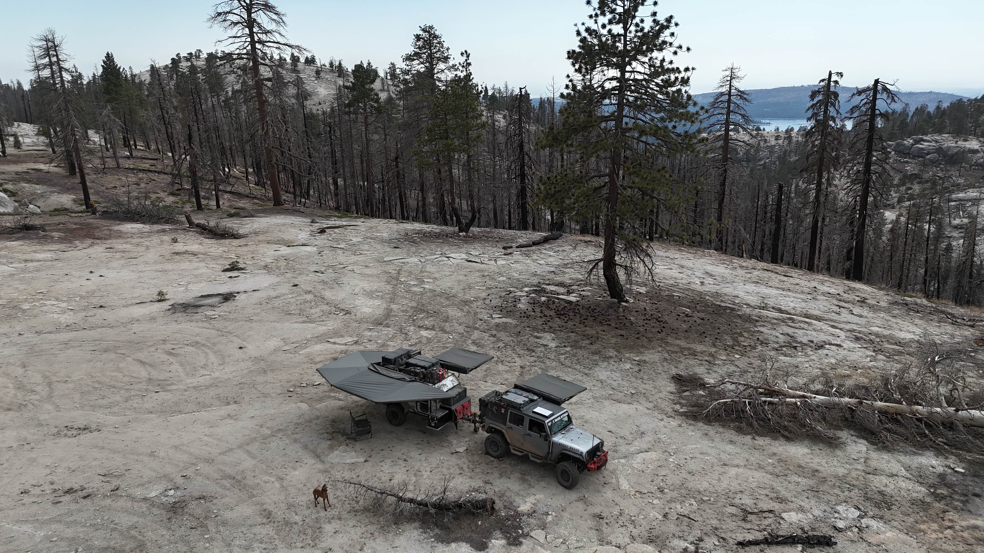 Camper-submitted photo at Bald Mountain Lookout near Wishon, CA