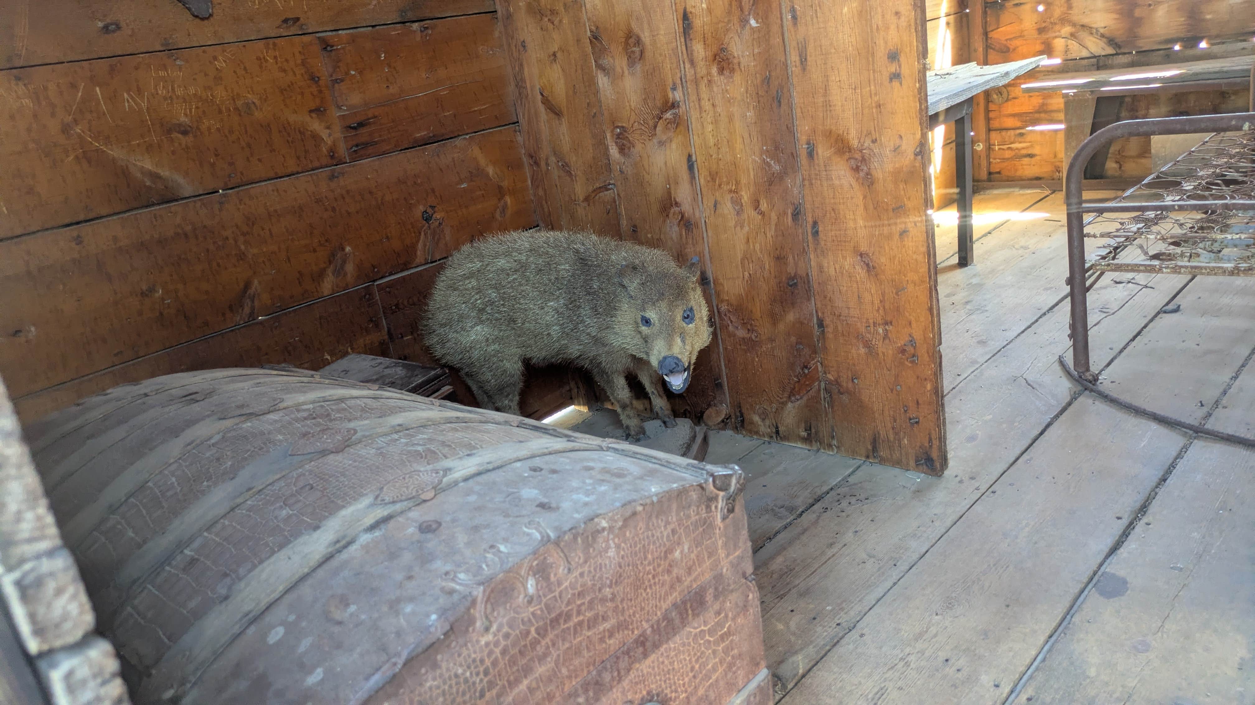 Camping near Death Valley Wilderness Area Dispersed Camping — Death Valley National Park: Ballarat Ghost Town, Trona, California