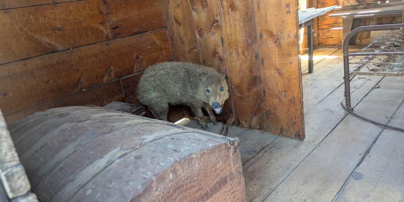 Camper submitted image from Ballarat Ghost Town