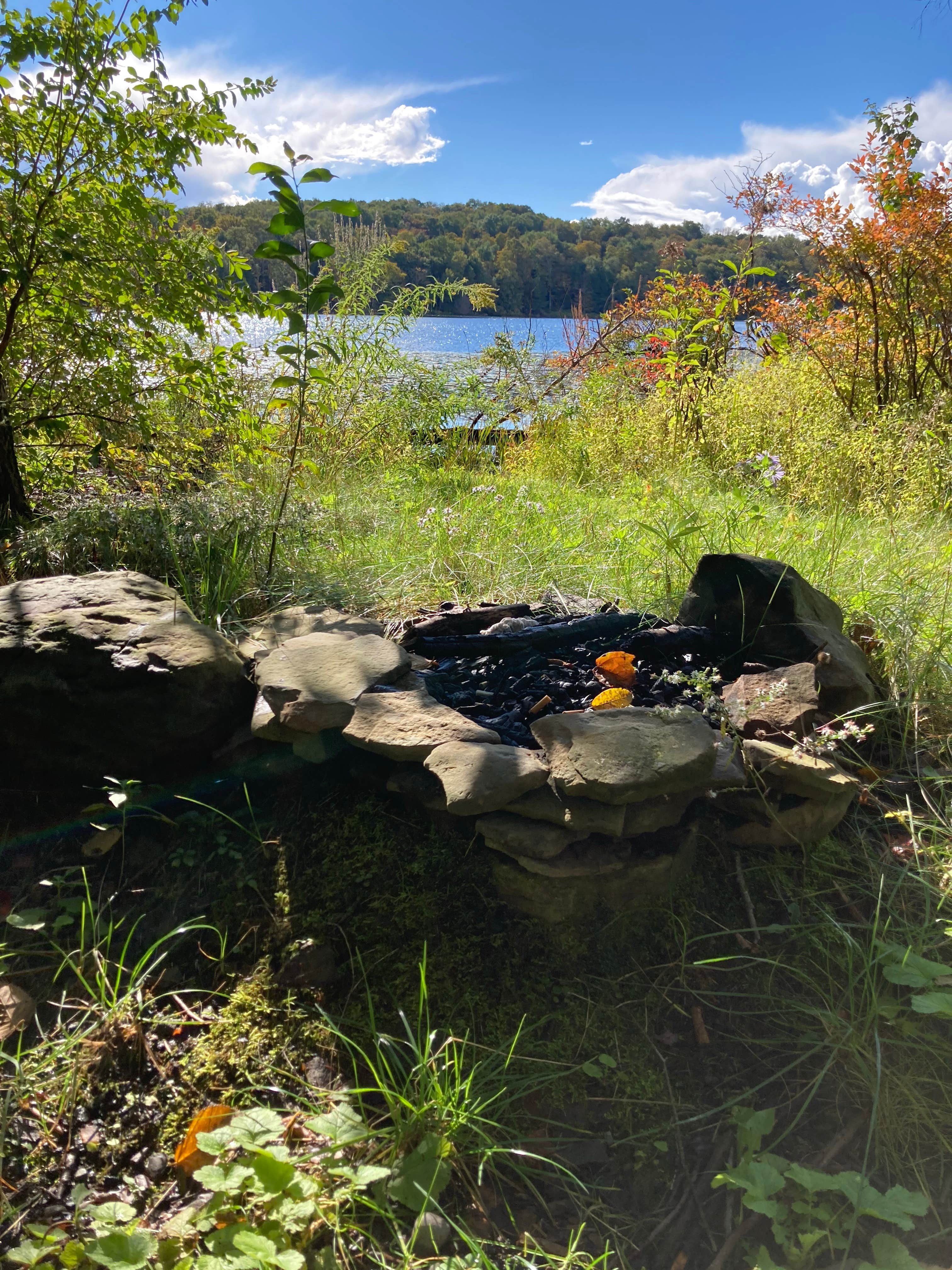 Janet R.'s photo of a dispersed camping area at Balsam Swamp State Forest near Syracuse, NY