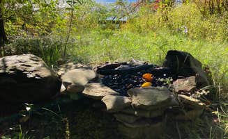 Janet R.'s photo of a dispersed camping area at Balsam Swamp State Forest near Owego, NY