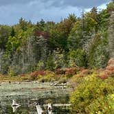 Review photo of Balsam Swamp State Forest by Janet R., November 28, 2017