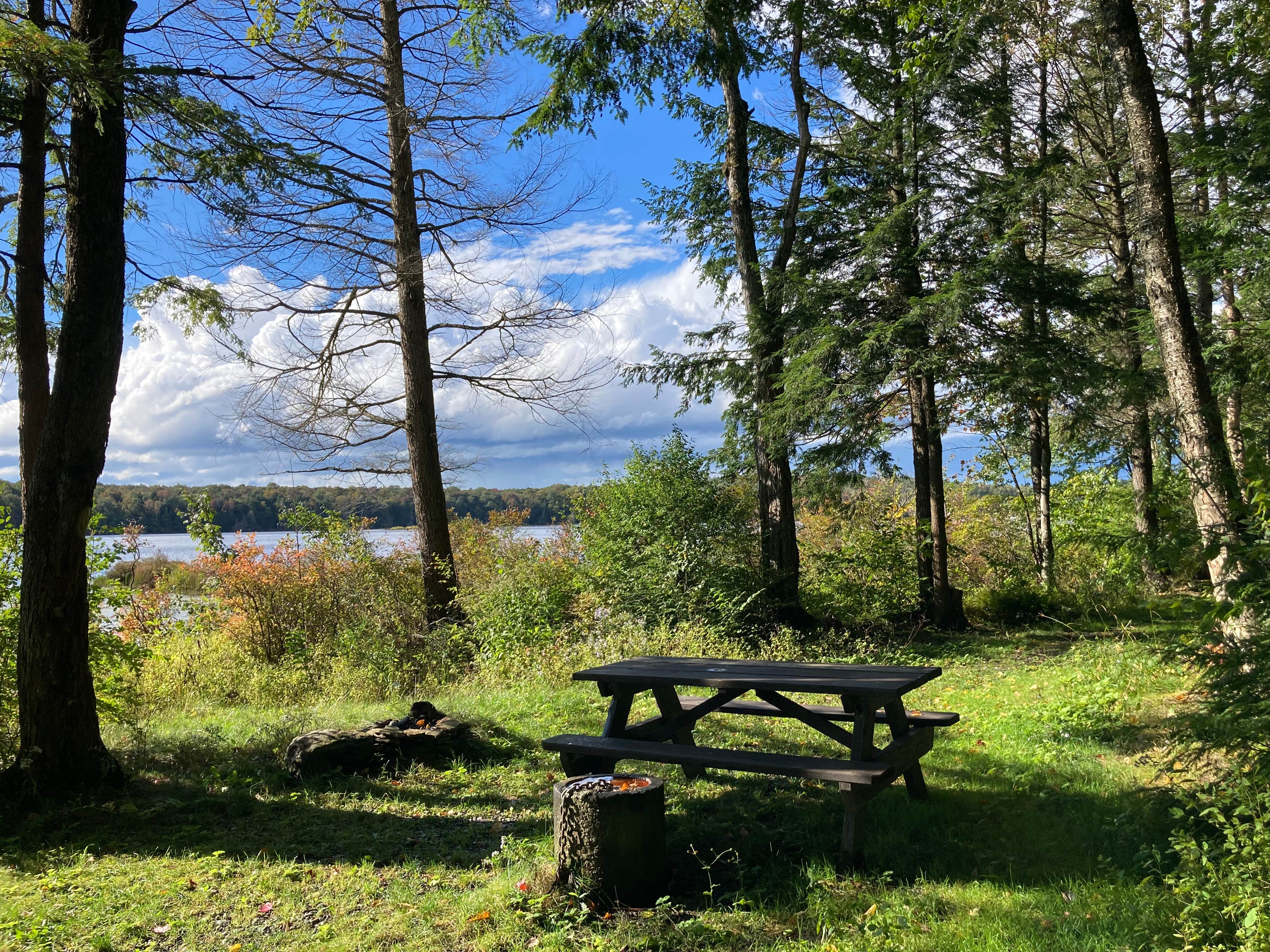 Camper submitted image from Balsam Swamp State Forest - 1