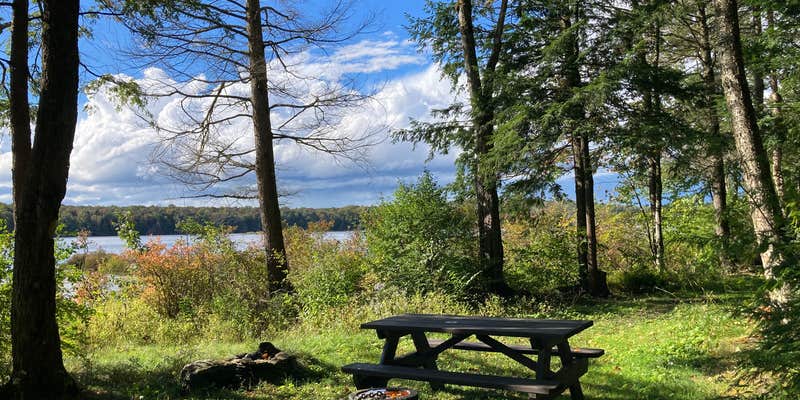 Camper submitted image from Balsam Swamp State Forest