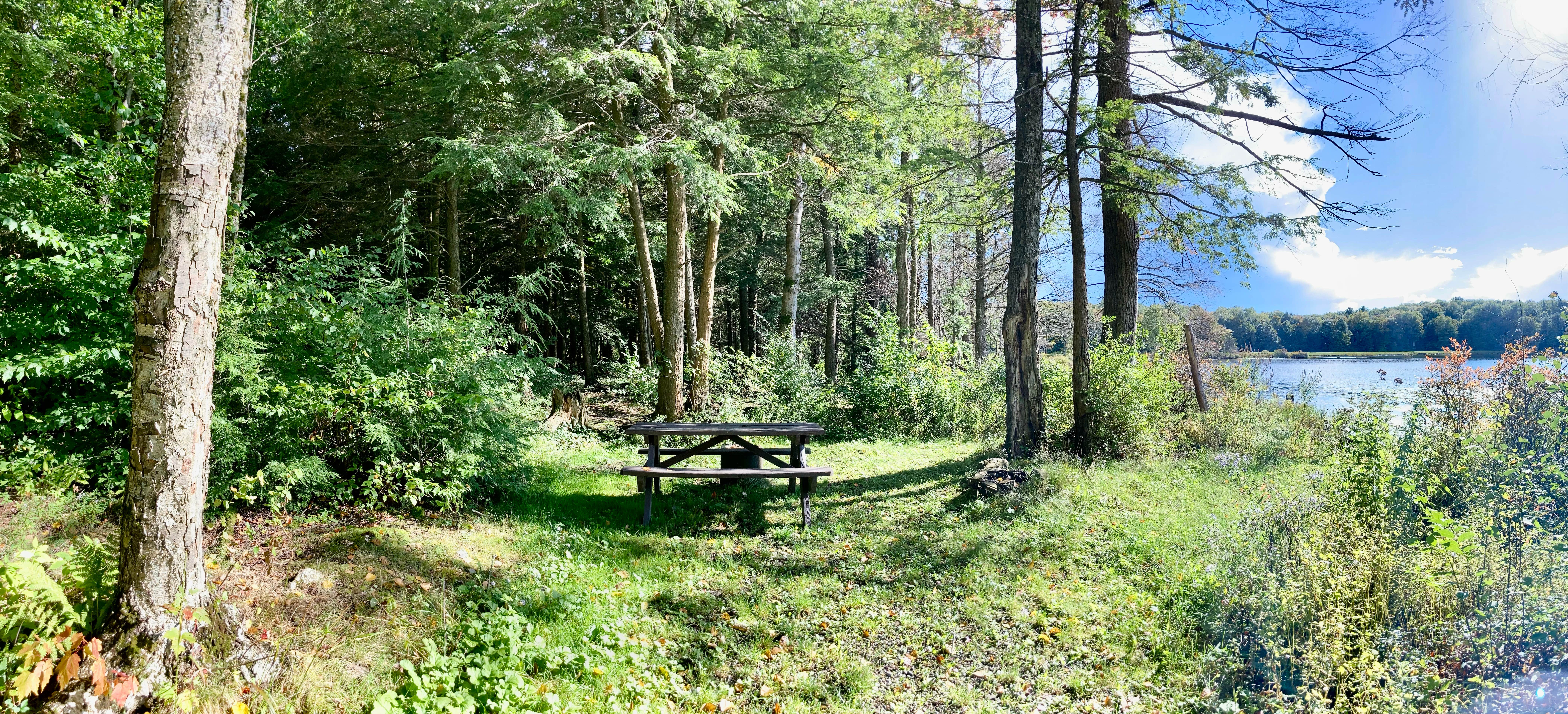 Camper-submitted photo at Balsam Swamp State Forest near Syracuse, NY