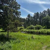 Review photo of Balsar Gulch Dispersed Camping by Natalie T., June 20, 2025
