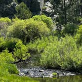 Review photo of Balsar Gulch Dispersed Camping by Natalie T., June 20, 2025