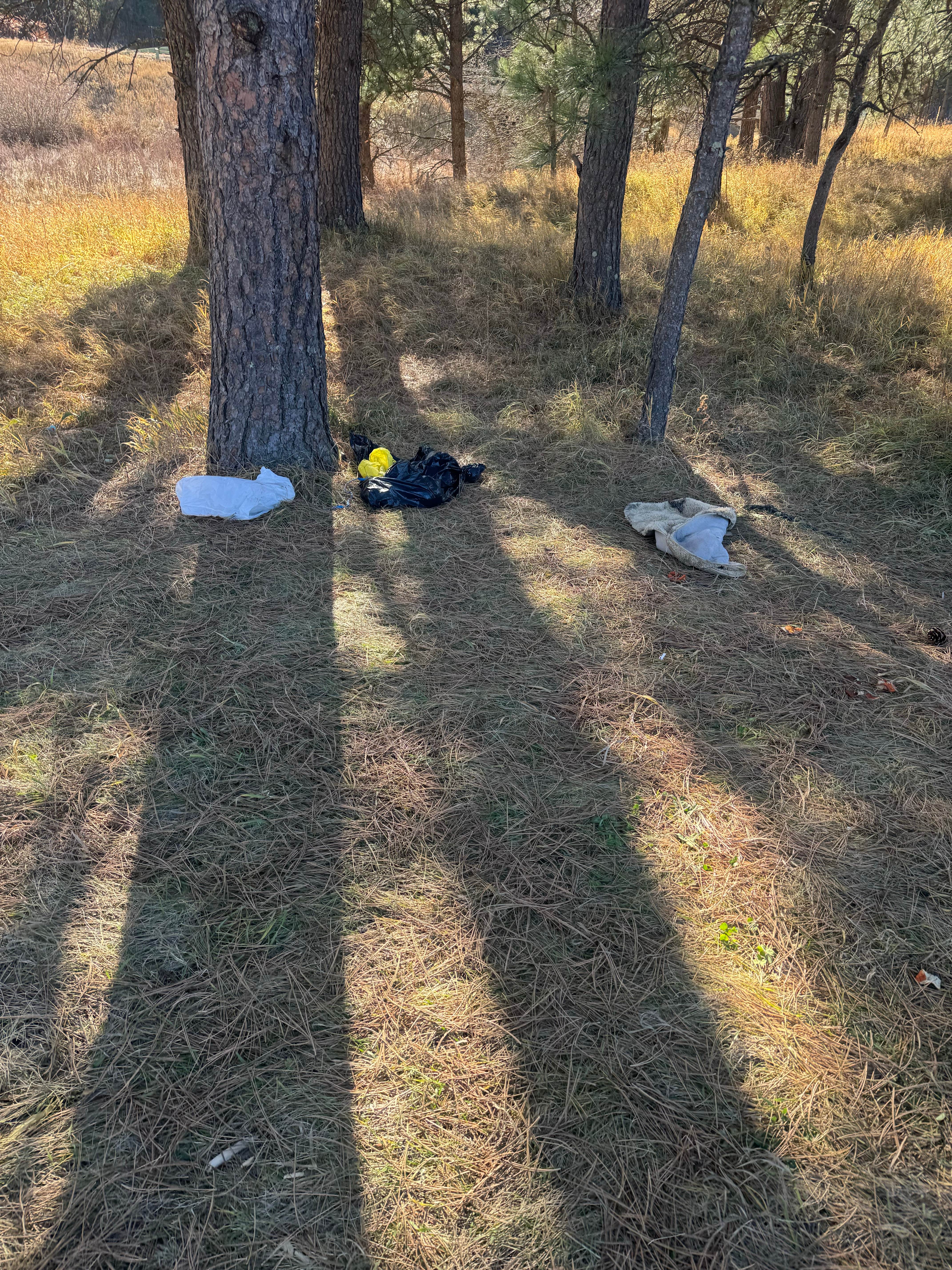 Camper-submitted photo at Balsar Gulch Dispersed Camping near Rapid City, SD