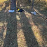 Review photo of Balsar Gulch Dispersed Camping by camping with M., November 11, 2025