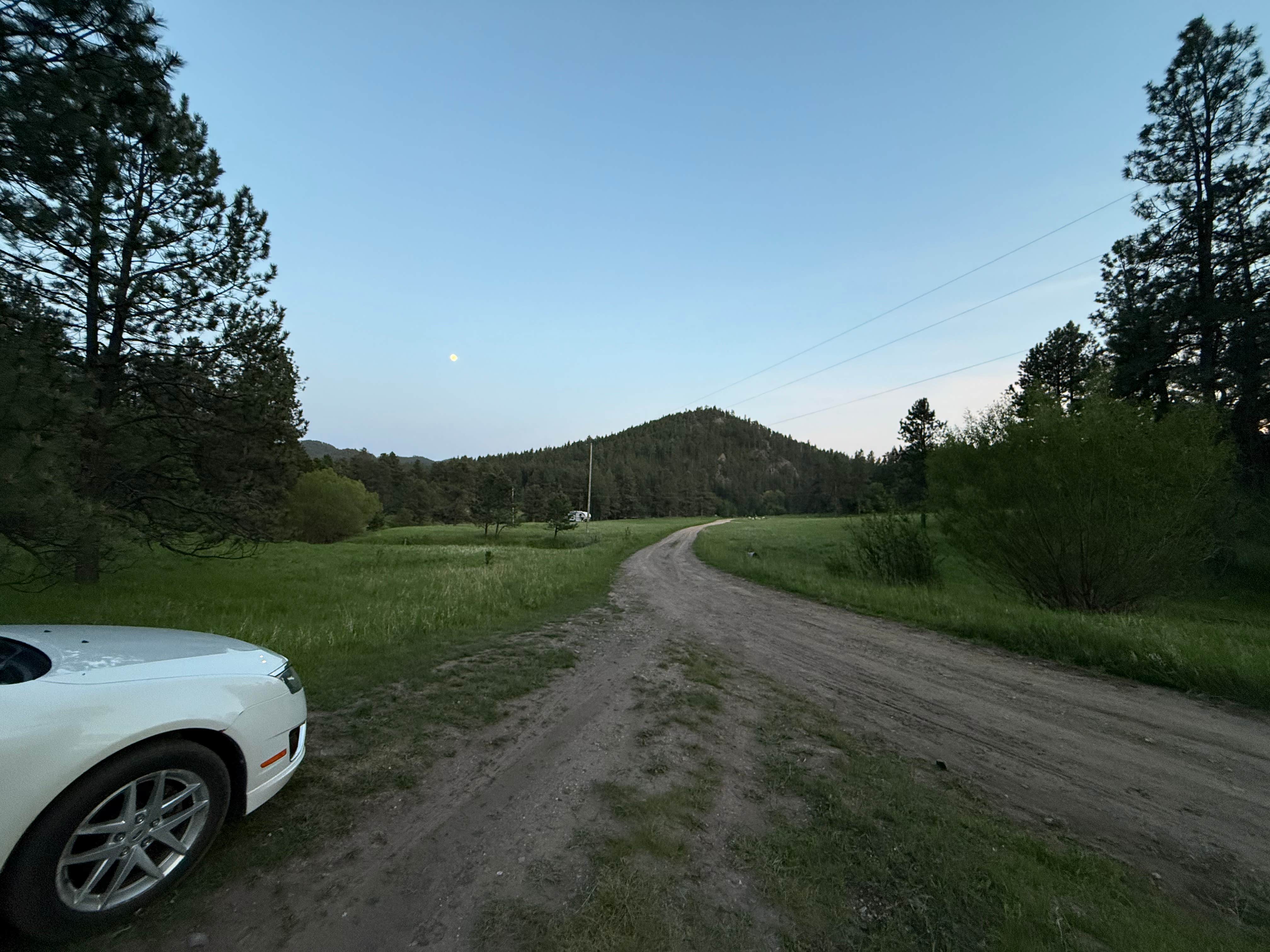 Camper submitted image from Balsar Gulch Dispersed Camping - 2
