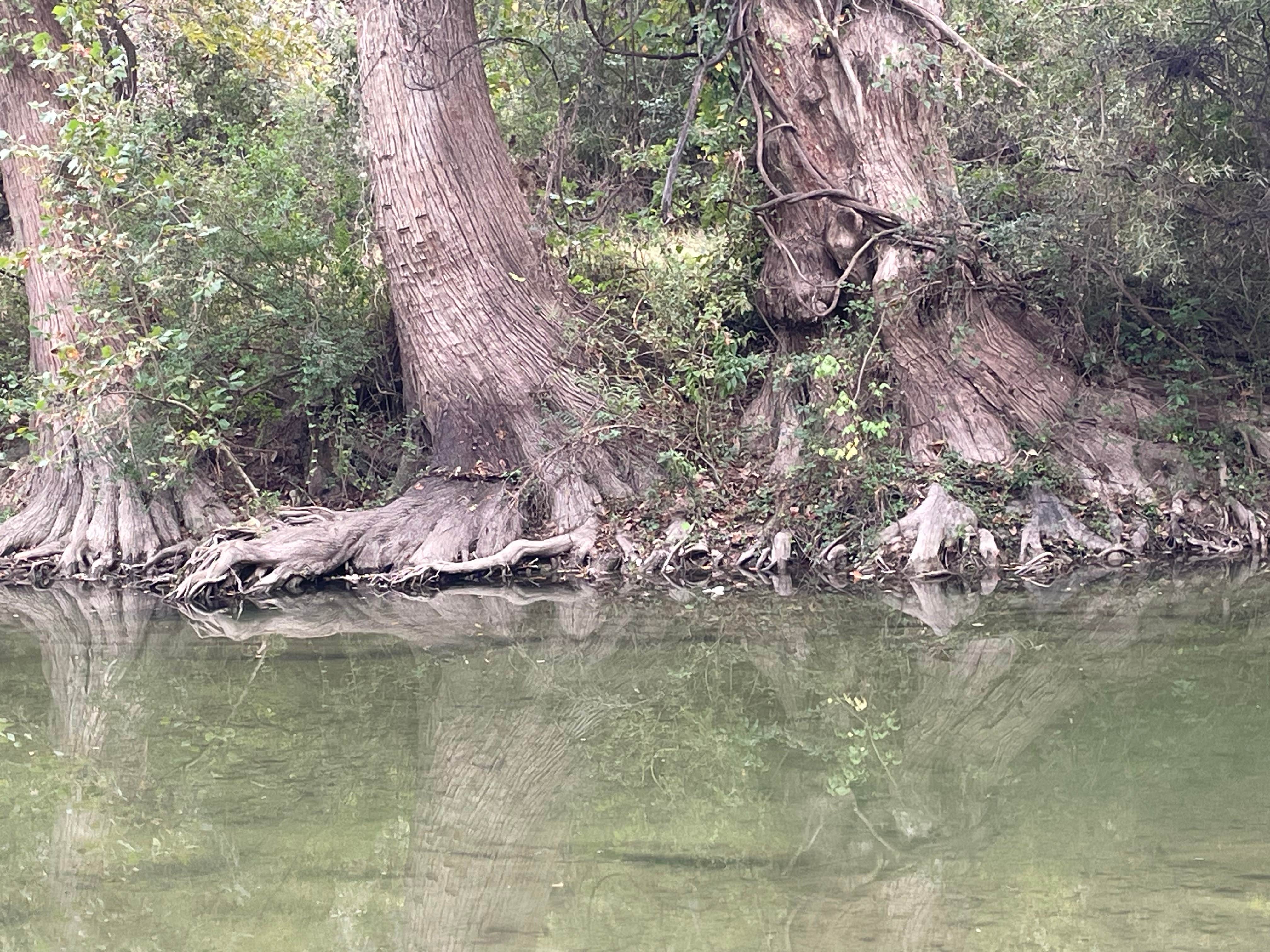 Camper submitted image from Bandera Star Riverfront Camping and RV - 3