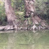 Review photo of Bandera Star Riverfront Camping and RV by Teri S., November 15, 2025