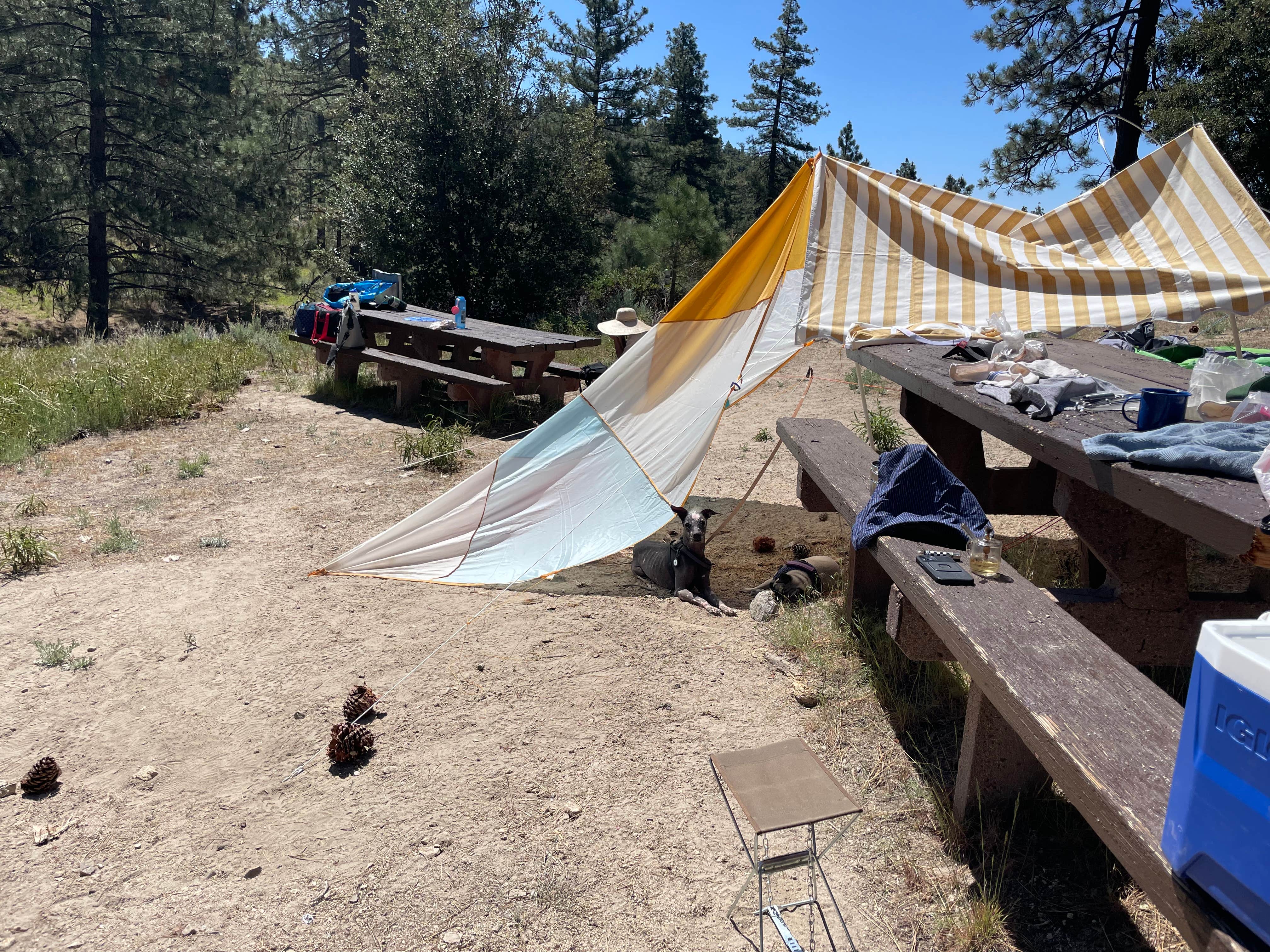 Camper submitted image from Bandido Group campground - 3