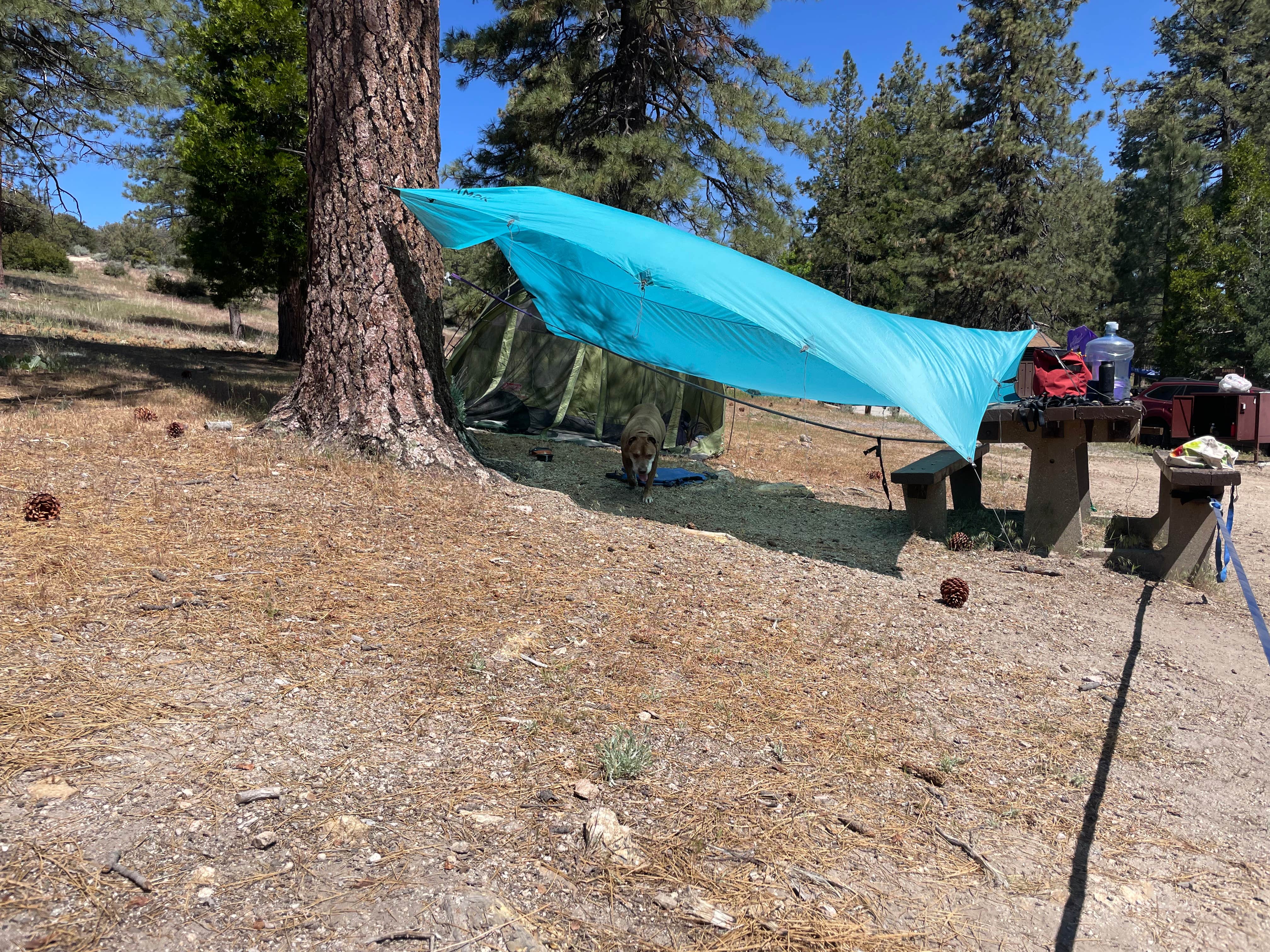 Camper submitted image from Bandido Group campground - 2
