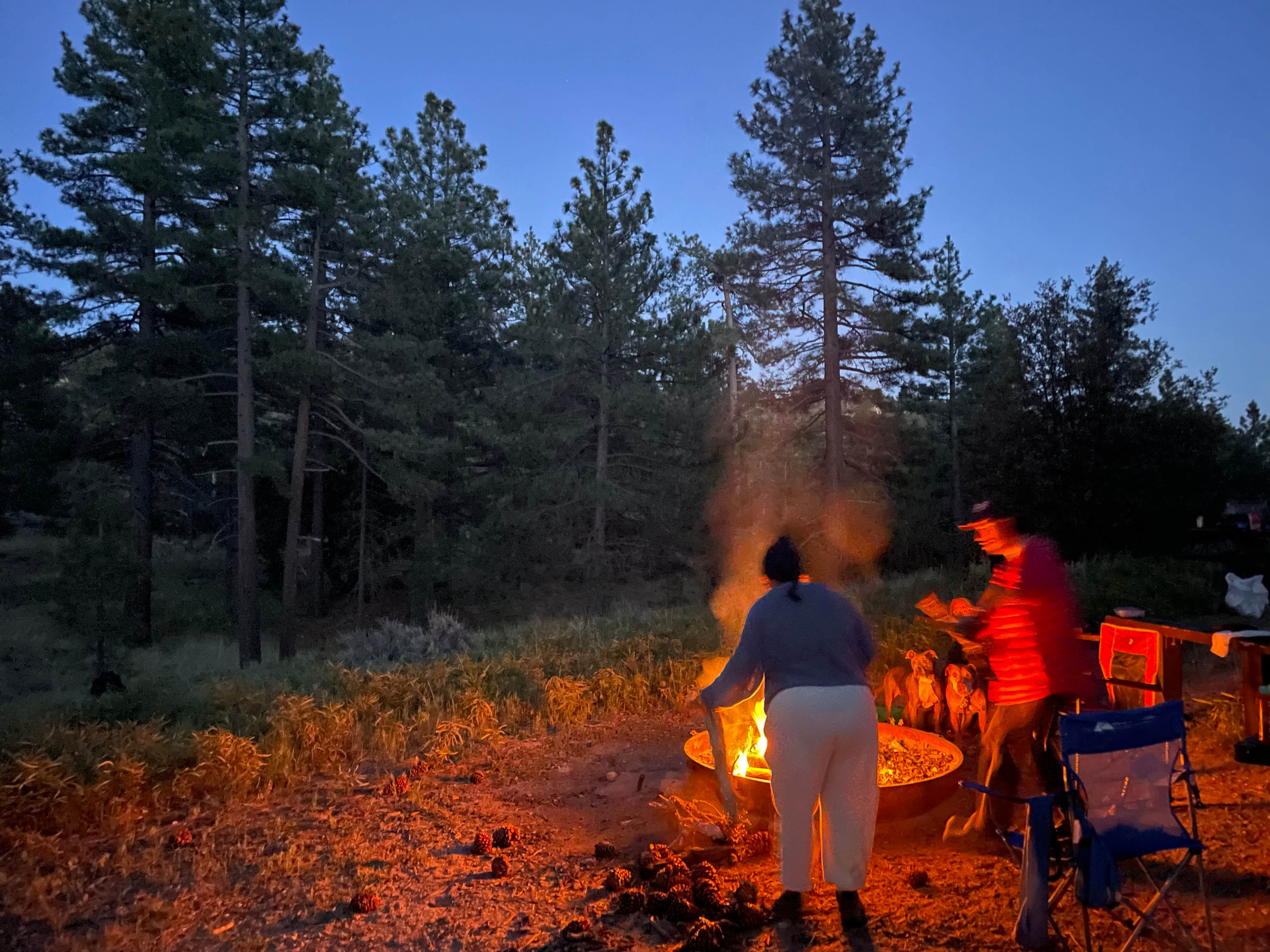 Camping near Cooper Canyon Trail Camp: Bandido Group campground, Juniper Hills, California