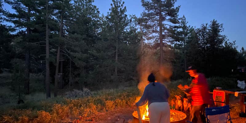 Camper submitted image from Bandido Group campground