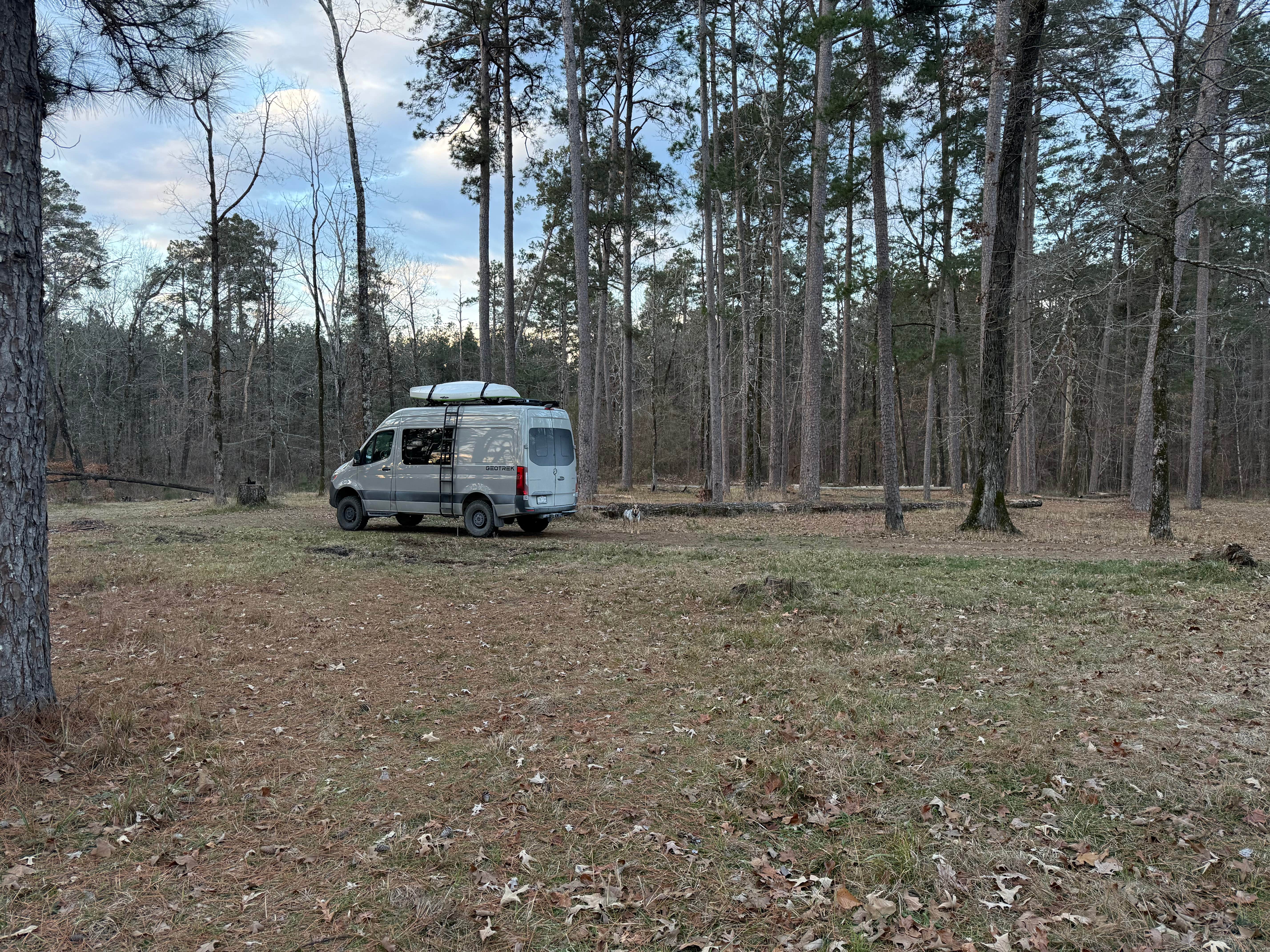 Camper submitted image from Bankston Camp Complex - 1
