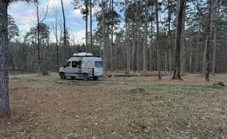 clint C.'s photo of rv camping at Bankston Camp Complex near Winnfield, LA