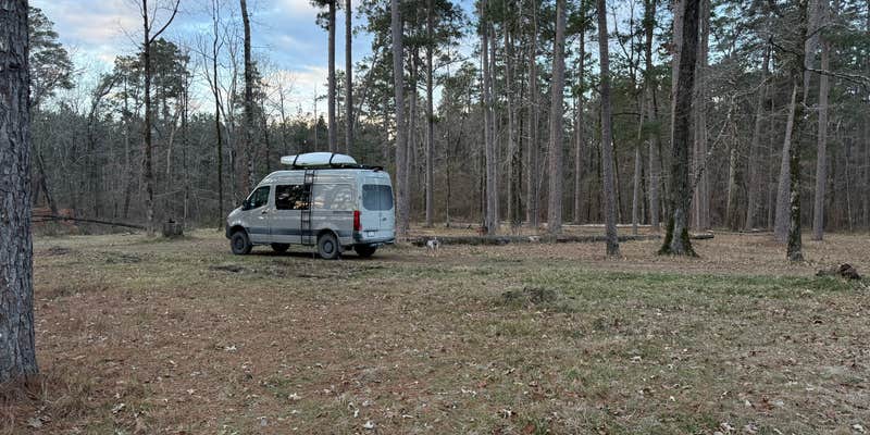 Camper submitted image from Bankston Camp Complex