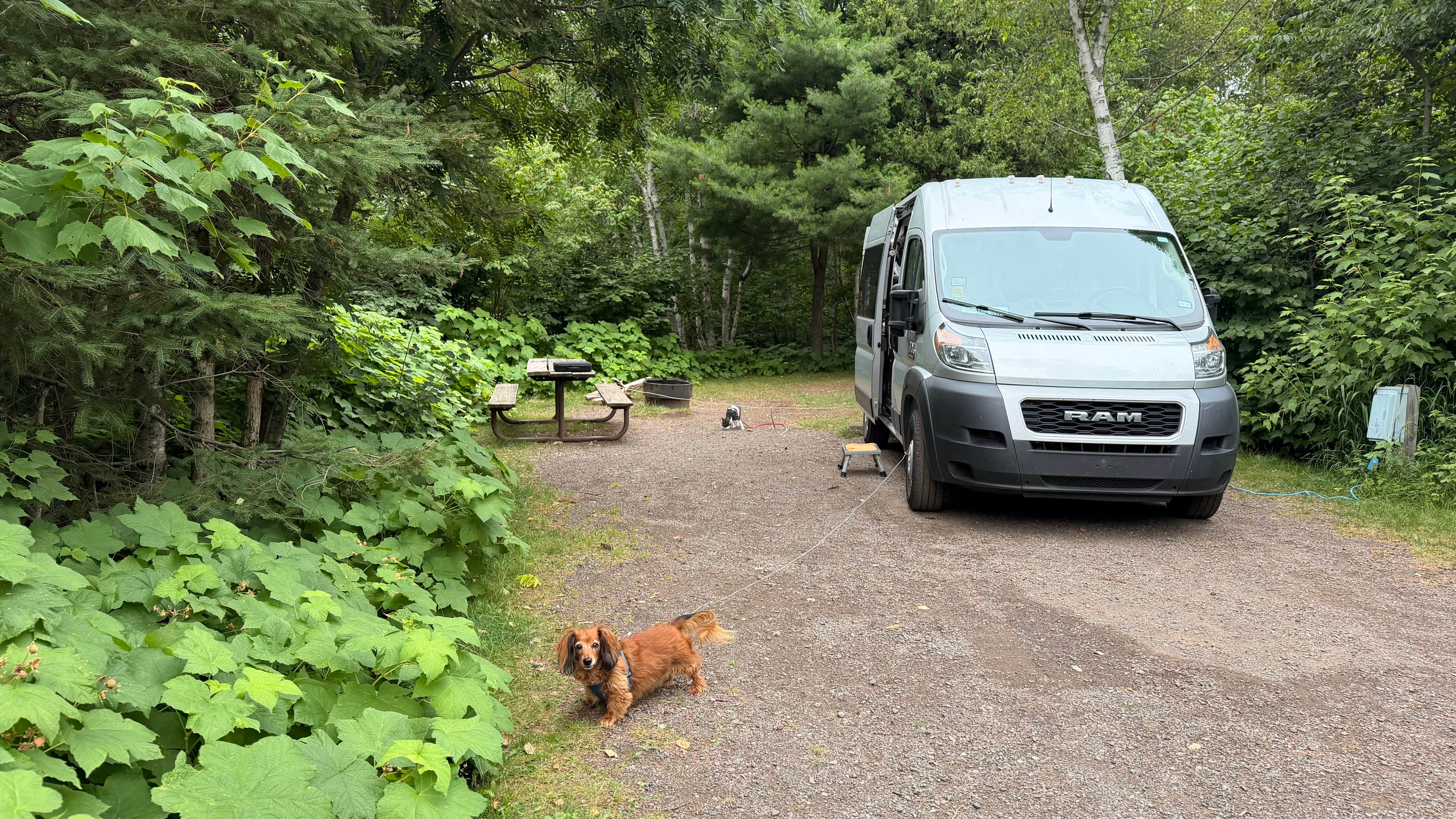 Cari E.'s photo of camping with pets at Baptism River Campground — Tettegouche State Park near Schroeder, MN