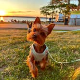 Review photo of Bar Harbor/Oceanside KOA by Mindie C., September 6, 2025