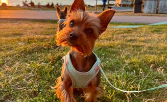 Mindie C.'s photo of camping with pets at Bar Harbor/Oceanside KOA near Vinalhaven, ME