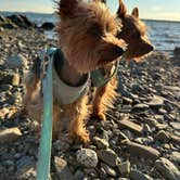 Review photo of Bar Harbor/Oceanside KOA by Mindie C., September 6, 2025